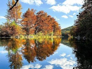 Riverbend on the Frio River