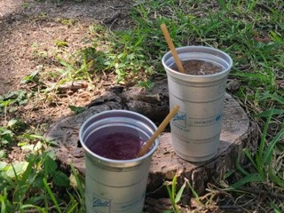 Riverbend on the Frio River