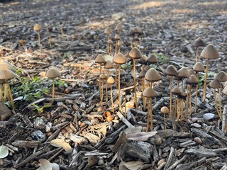 Riverbend on the Frio River