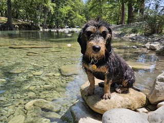 Riverbend on the Frio River
