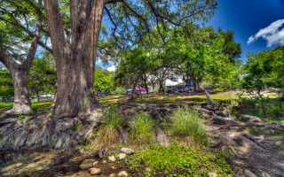 Cabins on the Frio River